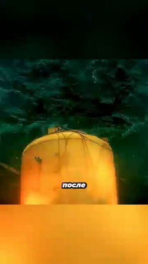 Оказались в смертельной ловушке но пластиковая бочка спасла им жизнь #shorts