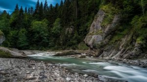 БЕРЕГА  Стихи Веры Капустиной