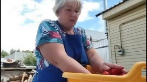 Вяленые помидорки🍅