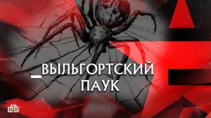 Следствие вели с Леонидом Каневским - Выльгортский паук - sixstringsnjomo (1080p, h264)