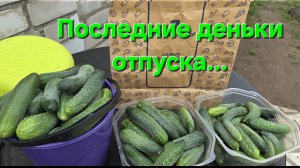 #влог Не учла, не рассчитала))🍅 И отпуск пролетел!✈️