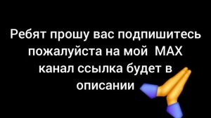 Ребят подпишитесь пожалуйста на мой MAX канал🙏