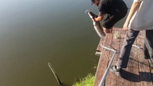1000161032.mp4
