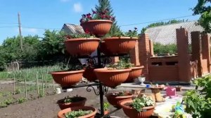 Петуниевое дерево своими руками