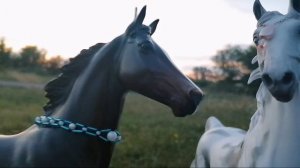 Сериал Breyer. Братские узы. Серия 5.