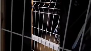 Общага для мигрантов в подвале