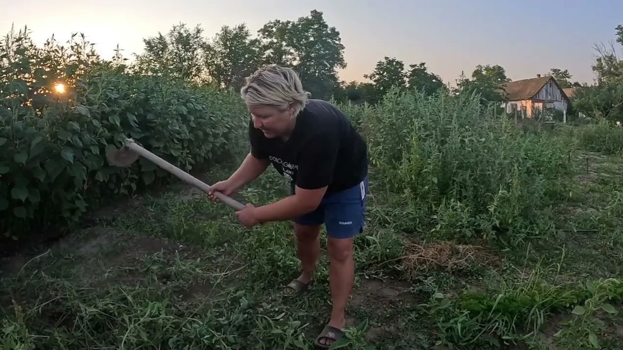 Наталья Губарева. ПОТИХОНЬКУ СПРАВЛЯЮСЬ ⧸ ЖИЗНЬ В СЕЛЕ 😍