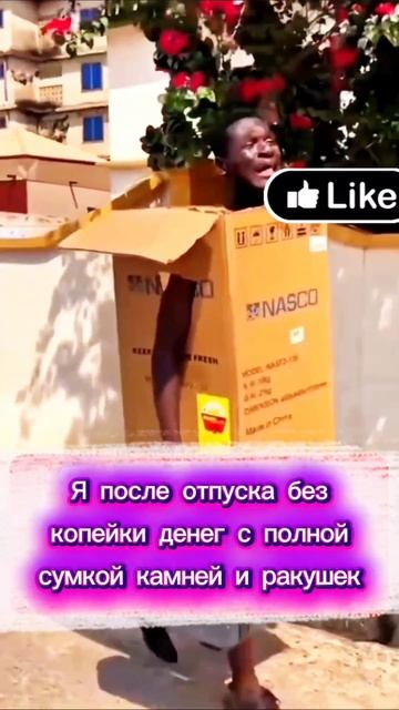 Отпуск время расслабления
#юмор #юмордня #приколы #смех #смехпродлеваетжизнь #семьямедведевых #медве