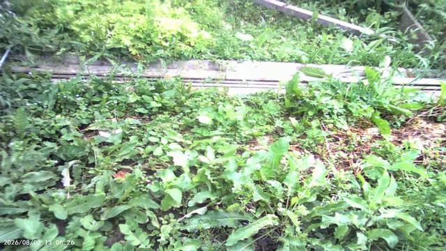 ДРУГОЙ УРОВЕНЬ ОБРАБОТКИ ПОЧВЫ