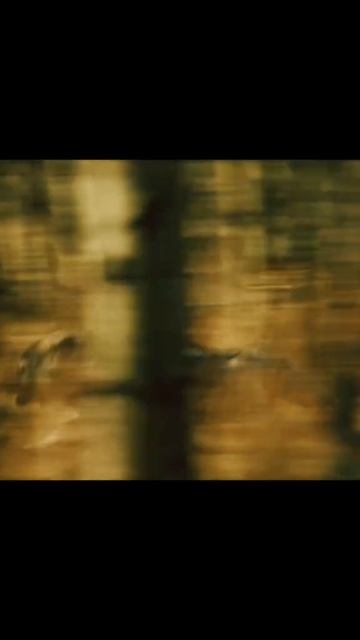 🎬Того (2013)