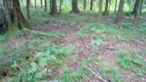 Прогулка
