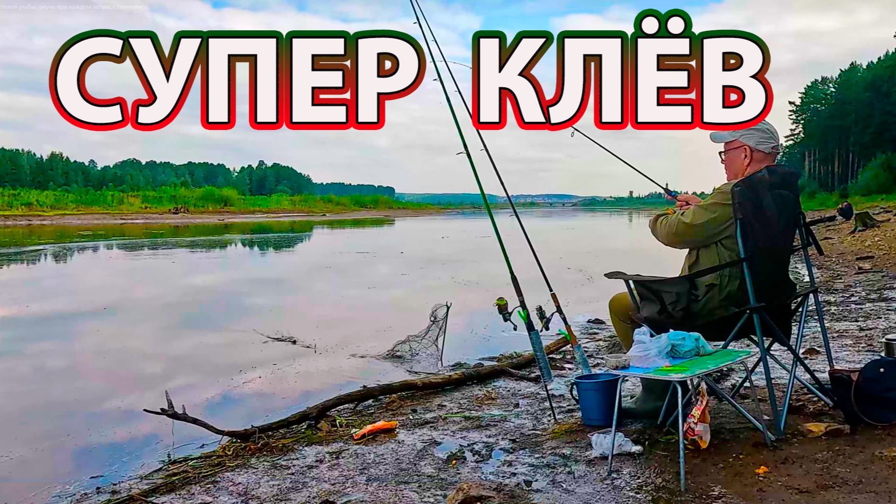Супер клёв белой рыбы, окунь при каждом забросе спиннинга.