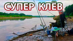 Супер клёв белой рыбы, окунь при каждом забросе спиннинга.