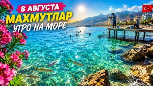 8 августа в Махмутларе - прекрасное утро у моря 🌊🌞. Турция 2026. #alanyasg🌊