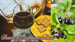 🍷🍇ДОМАШНЕЕ ЧЕРНОПЛОДНОЕ ВИНО💜ПРОСТОЙ РЕЦЕПТ🍷БОНУС: РЕЦЕПТ НАСТОЙКИ #счастьеесть #вино #рецепт