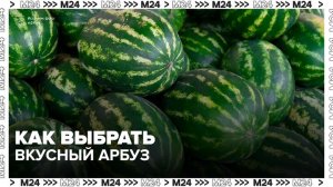 В Роскачестве призвали отказаться от покупки арбузов возле дорог - Москва 24