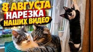 8 Августа. Нарезка наших видео.
