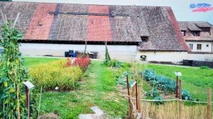 Сельская жизнь в Швейцарии 🇨🇭 Прогулки по фруктовому раю 📍Тургау, Швейцария