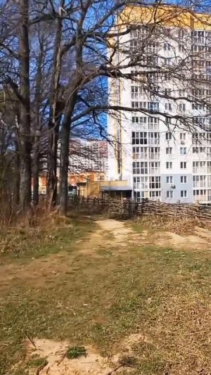Иду вдоль леса. Ошо - вы прекрасны как есть #мудрость #ошо #цитаты #бродяга #прогулка #лето #лес
