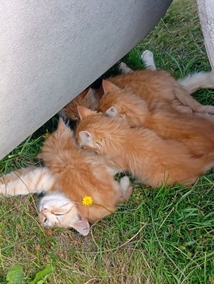 5 месяц снимаю