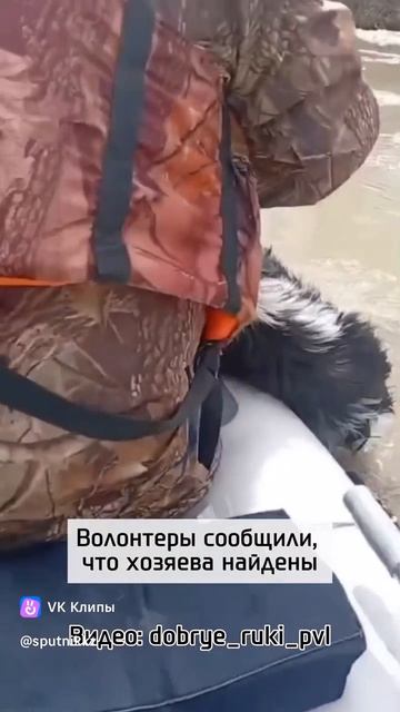 Доброта спасет мир!