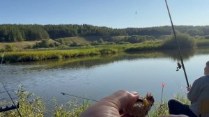Сергеевы на рыбалке