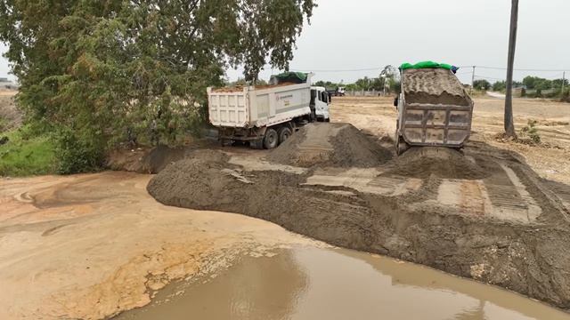 Wonderful Bulldozer SHANTUI C3 Push Sand Into Water Lake, With Dump Truck 25TON Transport Sand