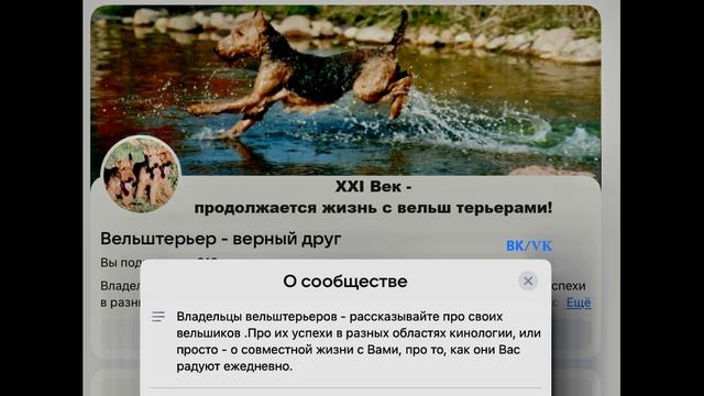 ГУСЕВ В Г - ПОМНИМ - VIII-2026