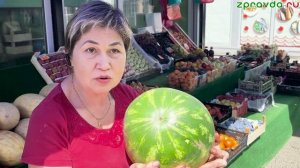 Новости Зеленодольска 07.08.2026