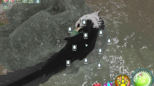 BeastsOfBermuda Development  2026-08-08 11-52-09