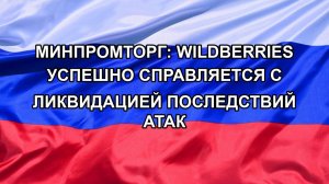 |Н. РФ| Минпромторг: Wildberries успешно справляется с ликвидацией последствий атак