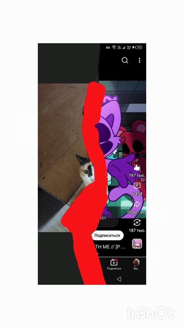 котолумбик начало