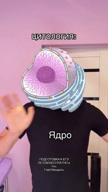 Встречайте, цитология🔥Забирай ПЛАН ПОДГОТОВКИ к ЕГЭ по биологии по ссылке в шапке профиля!