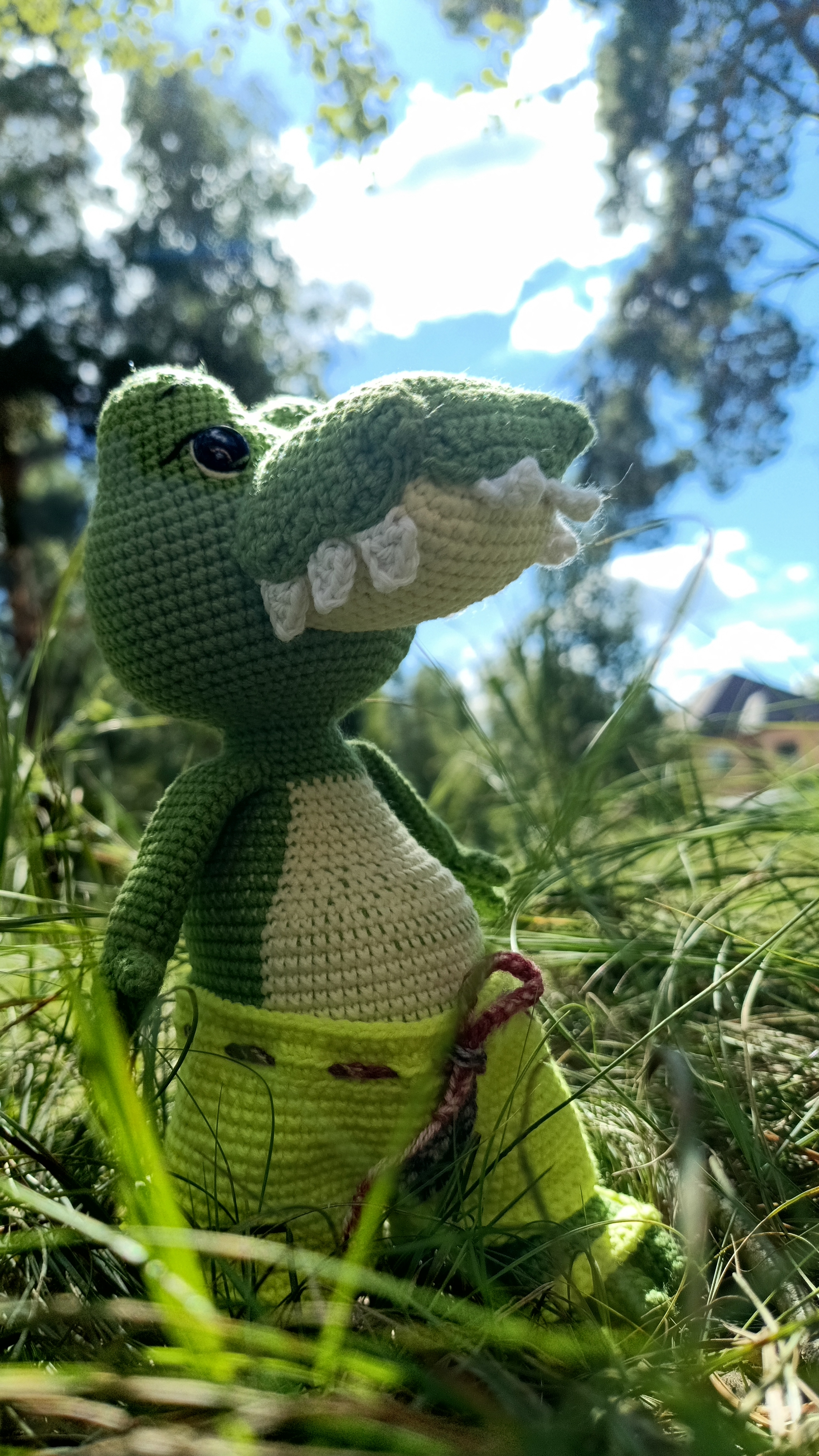 Крокодил-дил-дил плывёёёт...🐊🧶💚
