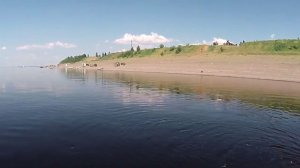Невод, рыбалка на Енисее. Отличный улов.