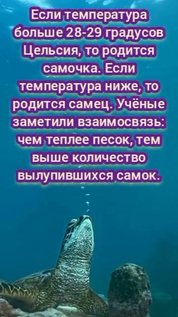 VID_20260808_081049_734.mp4