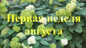 Книжный. Заказы с ВБ к осени. Не очень его люблю.