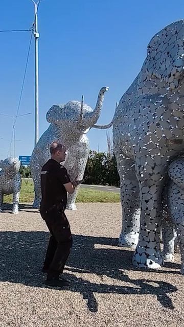 День физкультурника в аэропорту Ставрополя