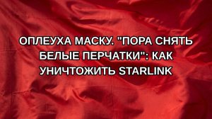 Оплеуха Маску. «Пора снять белые перчатки»: Как  уничтожить Starlink
