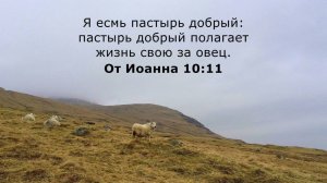 Я-овца Иакова. Мой пастырь-Иисус Христос. Силою Святого Духа гоню всю нечесть вон.Проклинаю мерзость