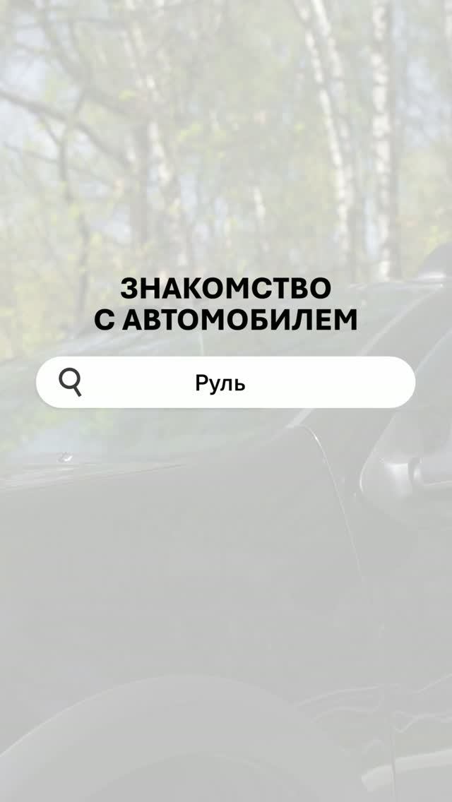 Руль — продолжение ваших рук. Всё о настройке