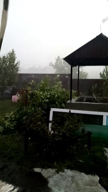 Вот это погодка сегодня🫣