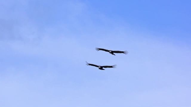 Поздняя встреча Стихи Андрея Ястребова Песня создана в программе СУНО видеомонтаж Елены Рыжаковой