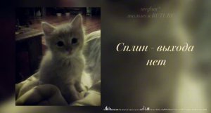 ПЛЕЙЛИСТ ВАЙБОВЫХ ПЕСЕН | speed up | плейлист