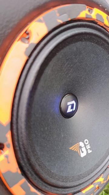 DL Audio Gryphon pro 200SE