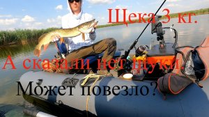 Огромная степная речка,нашли судака и щуку!а сказали нет щуки!Щука 3 кг.08.07,26