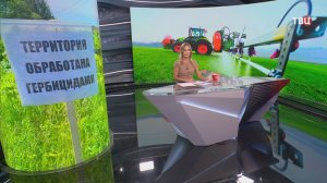 В Нижегородской области птицефабрика отравила огороды местных жителей