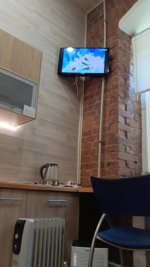 Вовка В Тридевятом Царстве и Другие Мультфильмы На Канале Культура Эфир от 08.08.2026Г. 13:27