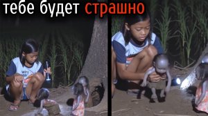 (КОТЫ ЮТУБЕРЫ)Самые Ужасные Видео со Всего Мира