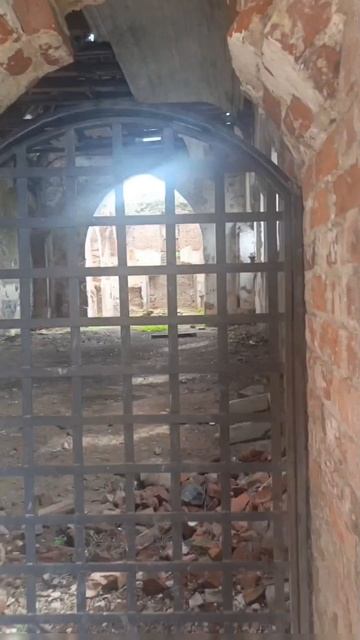 Что можно увидеть за одну поездку в Калининграде? 🧭👁️
